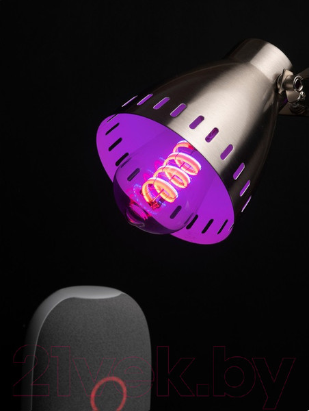 Изображение товара Умная лампа EKF Connect RGB E27 ST64 / slwf-e27-st64-fil-rgbw