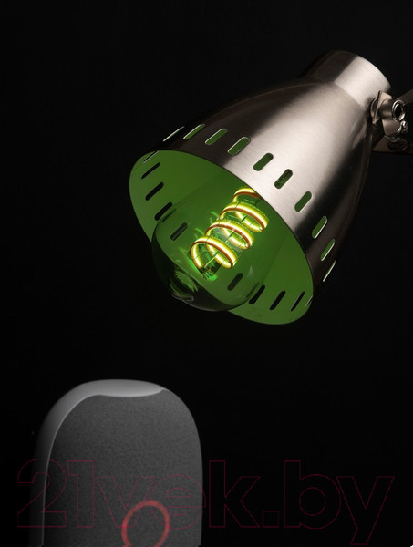 Изображение товара Умная лампа EKF Connect RGB E27 ST64 / slwf-e27-st64-fil-rgbw