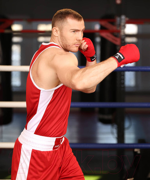 Изображение товара Боксерские бинты Insane Cobra / IN22-HW201 (2.5м, красный)