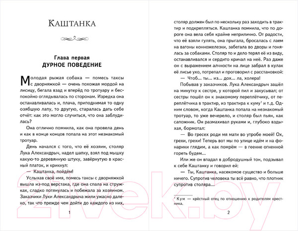 Изображение товара Книга Эксмо Каштанка. Рассказы (Чехов А.П.)