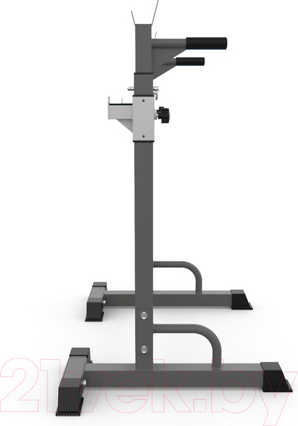 Изображение товара Стойка под штангу DFC DS10