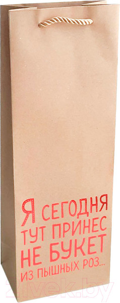 Изображение товара Пакет подарочный MONAMI GB22-6510