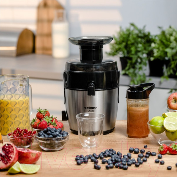 Изображение товара Соковыжималка электрическая Zelmer ZJE4800