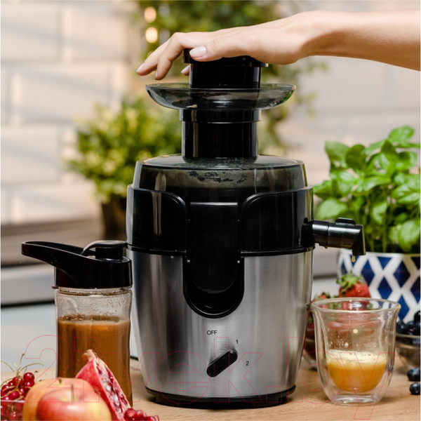 Изображение товара Соковыжималка электрическая Zelmer ZJE4800