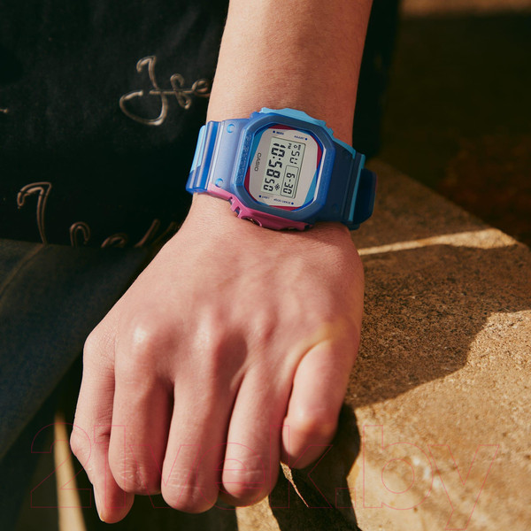 Изображение товара Часы наручные унисекс Casio DWE-5600PR-2E