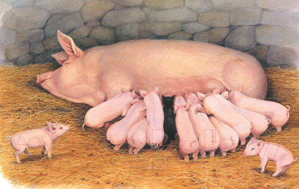 Изображение товара Книга Махаон Детям. Рассказы о животных (Хэрриот Дж.)