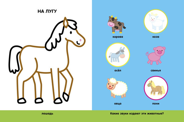 Изображение товара Раскраска Махаон На ферме, мягкая обложка