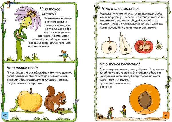 Изображение товара Энциклопедия Махаон Скажи мне, что это? Твердая обложка (Марру Элизабет)