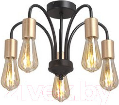 Изображение товара Люстра Vitaluce V3024-1/5PL
