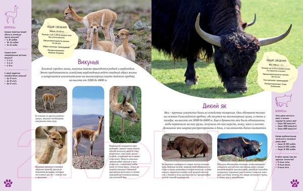 Изображение товара Энциклопедия Махаон Красочный мир животных (Балле К.)