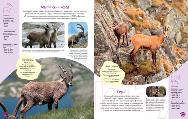 Изображение товара Энциклопедия Махаон Красочный мир животных (Балле К.)