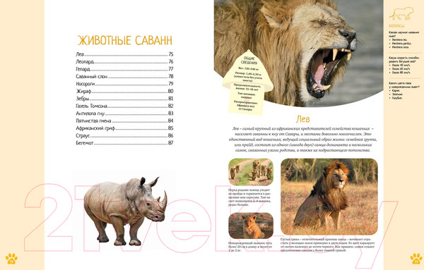 Изображение товара Энциклопедия Махаон Красочный мир животных (Балле К.)