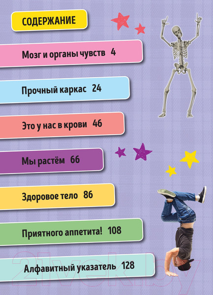 Изображение товара Энциклопедия Махаон Всё о теле человека (Риган Л.)