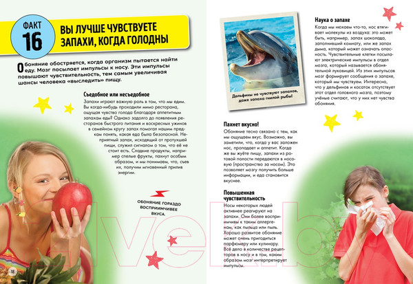 Изображение товара Энциклопедия Махаон Всё о теле человека (Риган Л.)