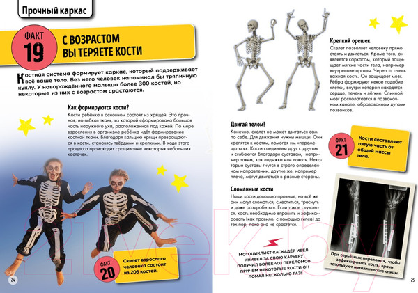 Изображение товара Энциклопедия Махаон Всё о теле человека (Риган Л.)