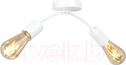 Изображение товара Потолочный светильник Vitaluce V4989-0/2PL