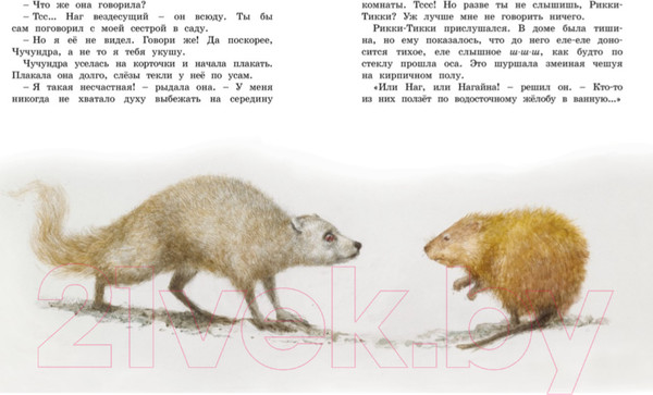 Изображение товара Книга Махаон Рикки-Тикки-Тави (Киплинг Р.)