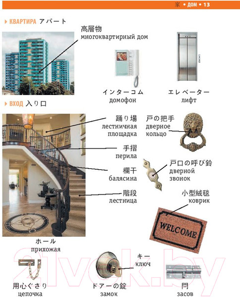 Изображение товара Словарь АСТ Японско-русский визуальный (Надежкина Н.В.)