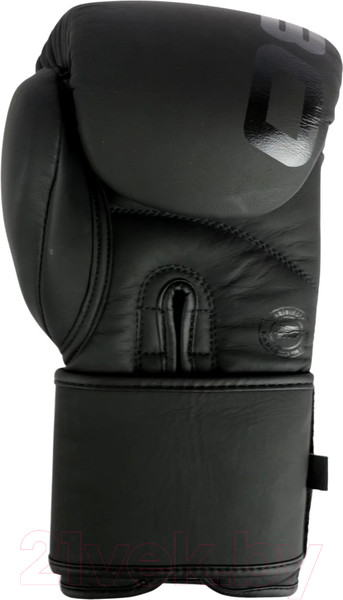 Изображение товара Боксерские перчатки BoyBo First Edition (10oz)