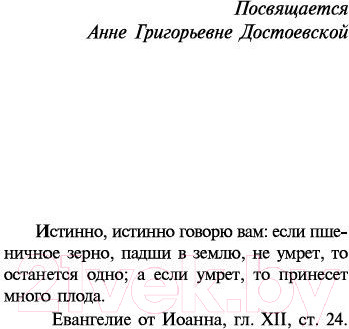 Изображение товара Книга Азбука Братья Карамазовы (Достоевский Ф.)