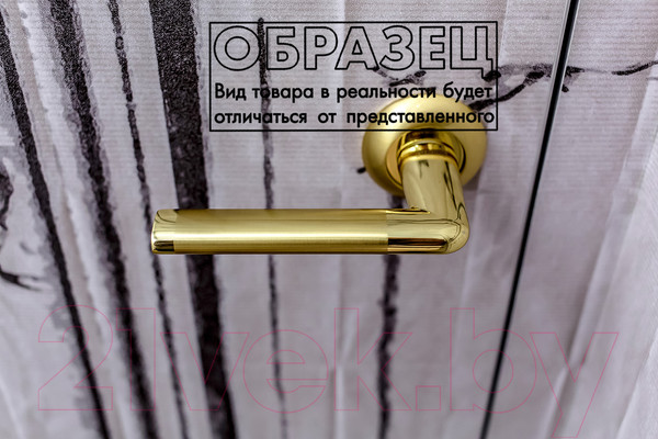 Изображение товара Ручка дверная Ренц Тренто / INDH 19-08 SN/NP (никель матовый/никель блестящий)