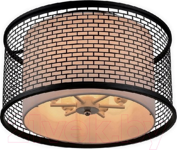 Изображение товара Потолочный светильник Lussole Loft 71 LSP-9676