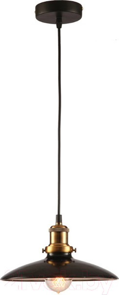 Изображение товара Потолочный светильник Lussole Loft LSP-9604