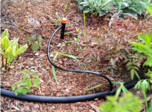 Изображение товара Система капельного полива Жук 3956-00