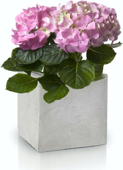 Изображение товара Кашпо Polnix 35.028.16