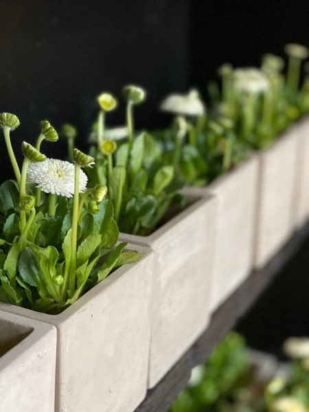 Изображение товара Кашпо Polnix 35.028.16