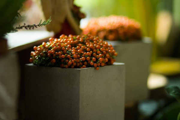 Изображение товара Кашпо Polnix 35.028.16