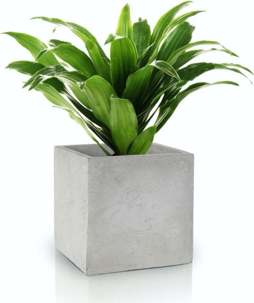 Изображение товара Кашпо Polnix 35.028.16