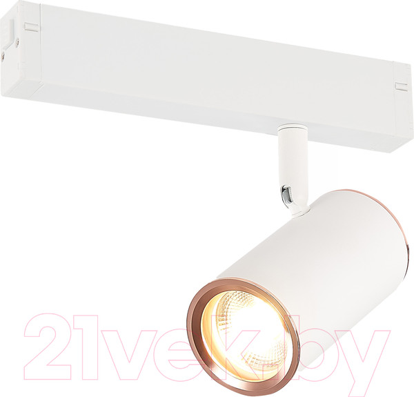 Изображение товара Трековый светильник ST Luce ST504.526.01 (белый)