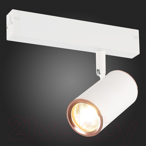 Изображение товара Трековый светильник ST Luce ST504.526.01 (белый)