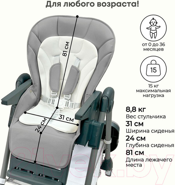 Изображение товара Стульчик для кормления Bubago Amelia / BG 103-2 (Light Grey)
