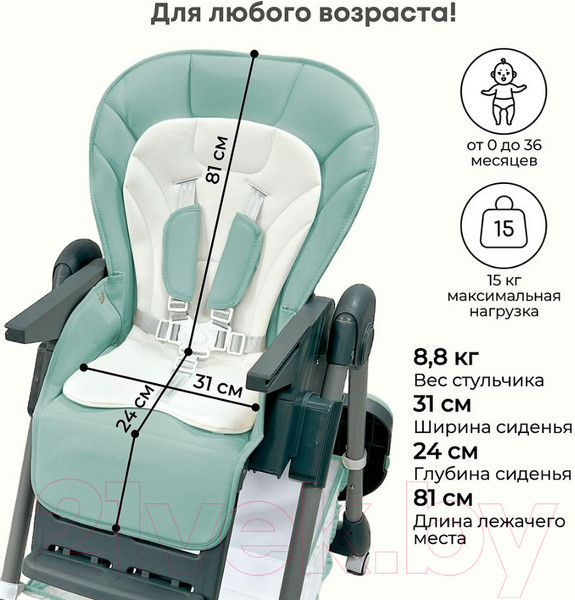 Изображение товара Стульчик для кормления Bubago Amelia / BG 103-3 (Frost Green)