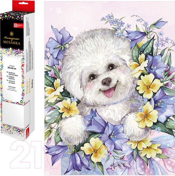 Изображение товара Набор алмазной вышивки Феникс+ Болонка в цветах / 62388