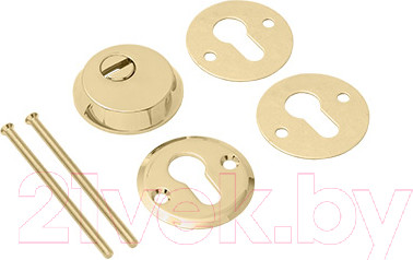 Изображение товара Накладка на цилиндр Avers DP-80-C-G