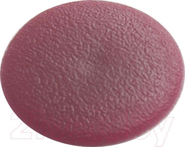 Изображение товара Заглушка декоративная ЕКТ Под саморезы PZ-2 S-18 / 5507832 (100шт, махон светлый)