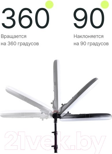 Изображение товара Кольцевая лампа RayLab RL-0114 Kit