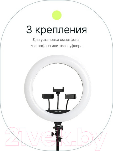 Изображение товара Кольцевая лампа RayLab RL-0118 Kit