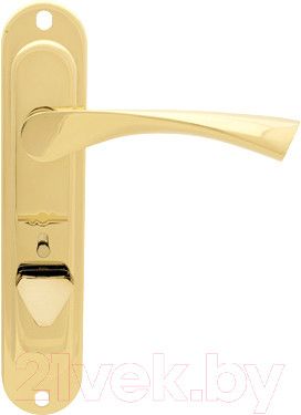 Изображение товара Ручка дверная Apecs HP-42.0123-S-C-G-L