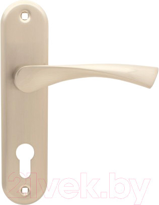 Изображение товара Ручка дверная Apecs HP-70.1223-AL-NIS