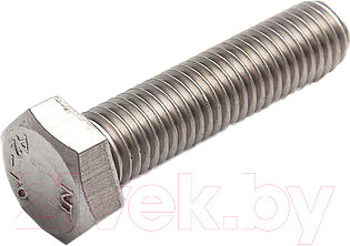 Изображение товара Болт ЕКТ С шестигранной головкой M10x25 DIN933 / B008376 (нержавеющая сталь)