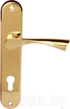 Изображение товара Ручка дверная Apecs HP-85.0923-AL-G