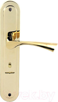 Изображение товара Ручка дверная Apecs HP-85.0423-S-G