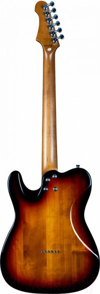 Изображение товара Электрогитара Jet Guitars JT-350 SB R
