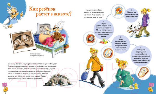 Изображение товара Энциклопедия Махаон Большая книга здоровья для всей семьи (Грёнемайер Д.)