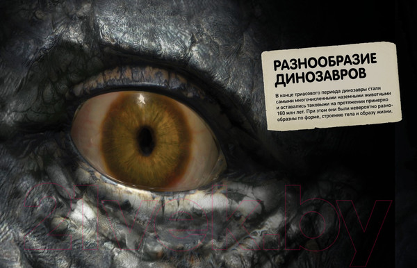 Изображение товара Энциклопедия Махаон Всё о динозаврах. Энциклопедия (Паррагон Б.)