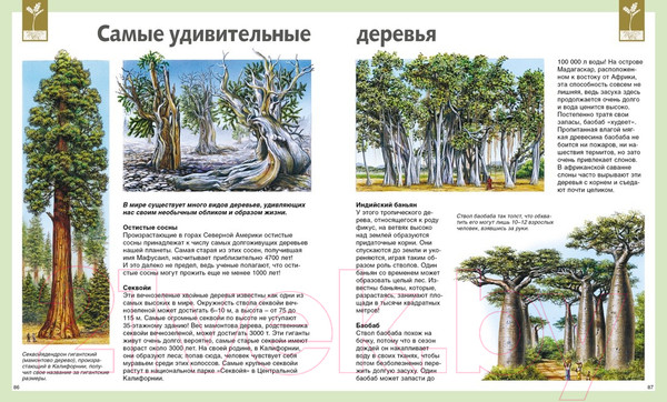 Изображение товара Энциклопедия Махаон Универсальная школьная энциклопедия (Перруден Ф., Камбурнак Л.)